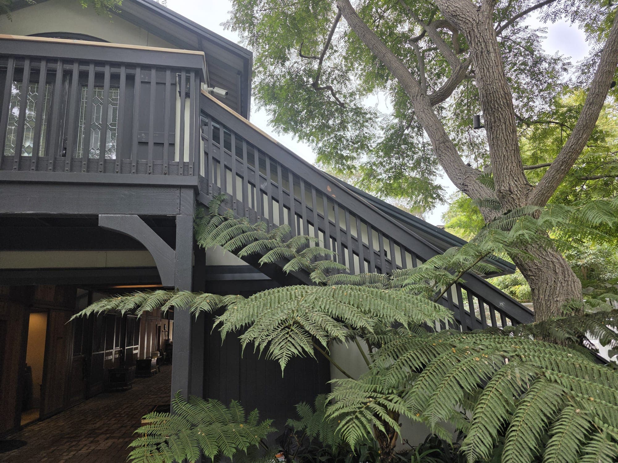 Finished exterior deck and entry painted in deep charcoal surrounded by greenery